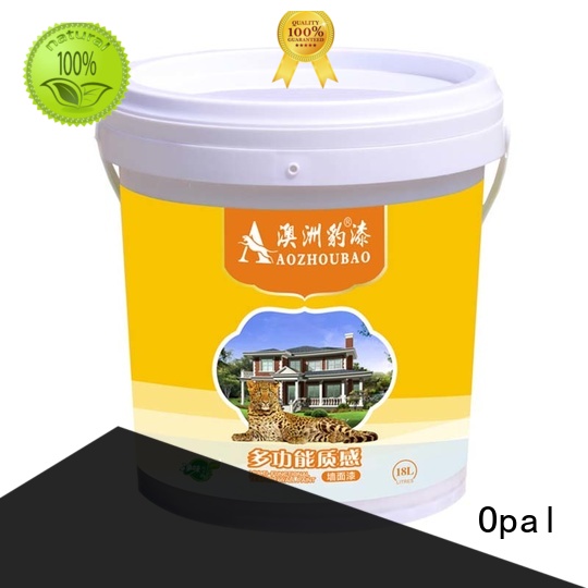 Opal dry fast art varnish manufacturer for picture