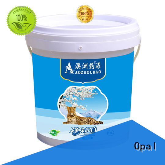 Opal elastic paint customized for family